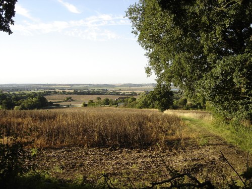 August_2011_upload_085