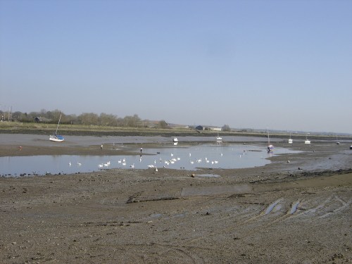 28_march_12_upload_013