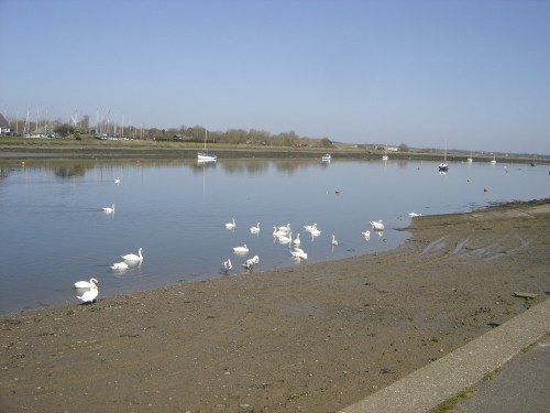 28_march_12_upload_030