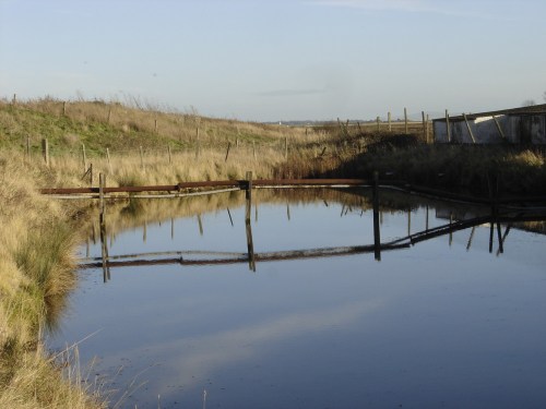 15_dec_12_s_fambridge_015