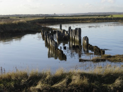 15_dec_12_s_fambridge_019