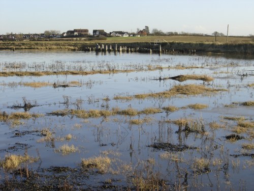 15_dec_12_s_fambridge_024